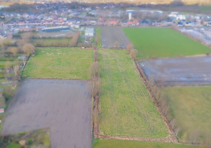 Landbouwgrond te koop in SINT-AMANDS