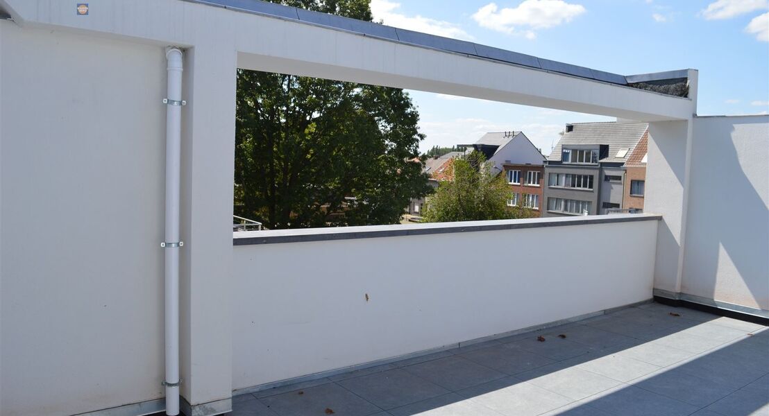 Appartement te huur in WILLEBROEK
