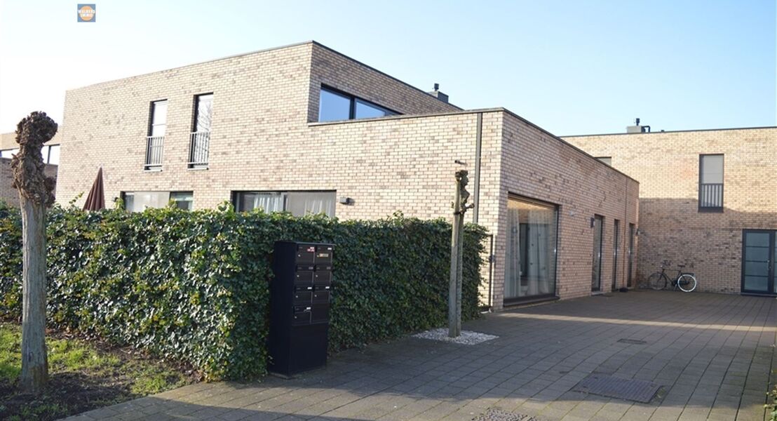 Gelijkvloers te huur in WILLEBROEK