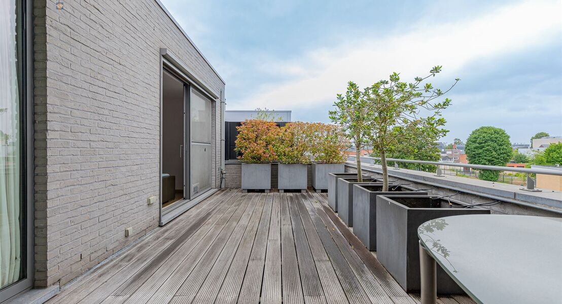 Penthouse te koop in WILLEBROEK
