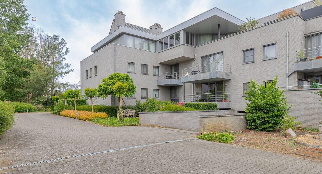 Penthouse te koop in WILLEBROEK